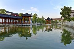 杭州缘何连续8年捧回“大禹鼎” 记者走访乡村寻找答案