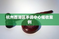 杭州西湖区矛调中心催收案例